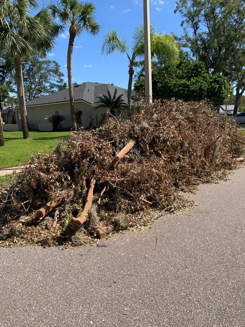 Yard Debris Cleanup Tampa, FL Saint Petersburg, FL King of the Haul Junk Removal