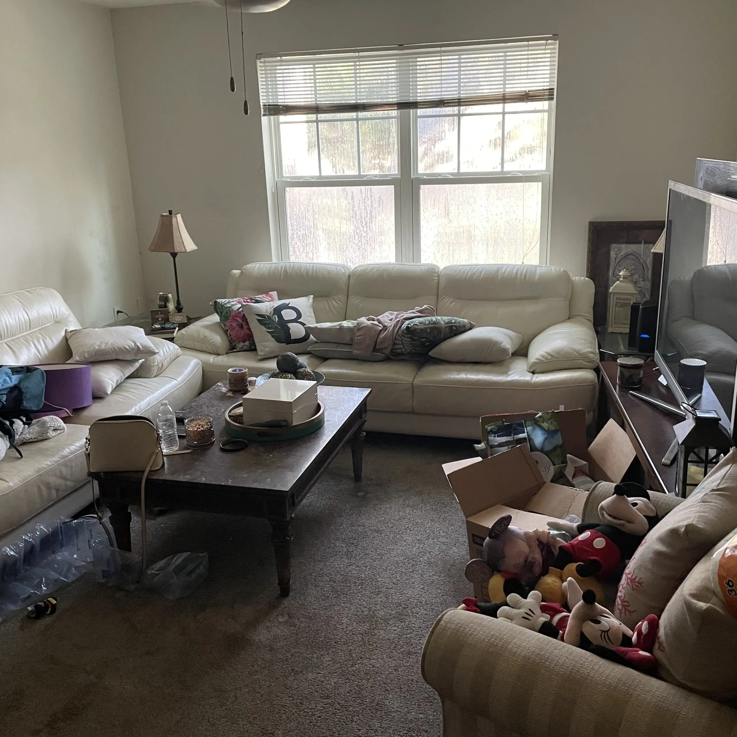 Home & Apartment Cleanout Before